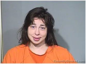 Mugshot of DANIELLE T BILISKO