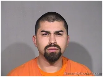 Mugshot of EDGAR U NEGRETE-GAONA