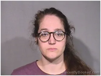 Mugshot of ALEXANDRA L WALKER booked in McHenry County, Illinois on April 15, 2026