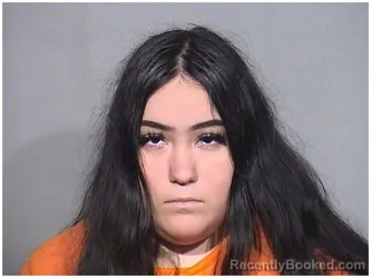 Mugshot of GENEVA A ORIVE booked in McHenry County, Illinois on April 15, 2026