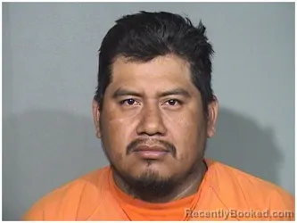 Mugshot of DELFINO C REYES booked in McHenry County, Illinois on April 24, 2026