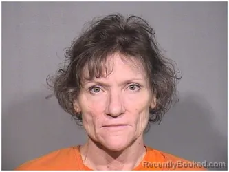 Mugshot of LEAH L DROUGAS booked in McHenry County, Illinois on April 24, 2026