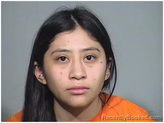 Mugshot of YARETZI R PAREDES-REYES booked in McHenry County, Illinois on April 24, 2026