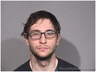 Booking photo from McHenry County, Illinois