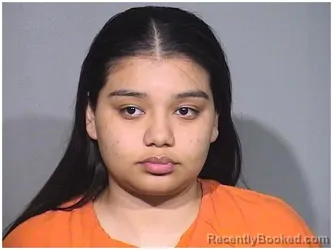 Mugshot of MAYRA F RIOS-ESCARENO booked in McHenry County, Illinois on April 28, 2026