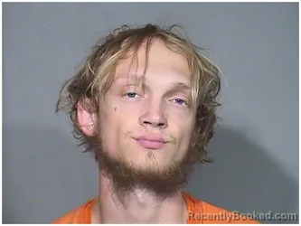 Booking photo from McHenry County, Illinois
