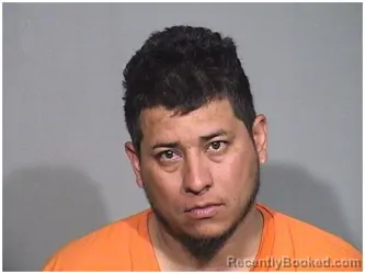 Booking photo from McHenry County, Illinois