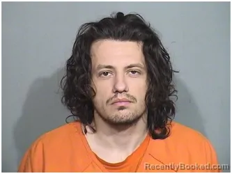 Booking photo from McHenry County, Illinois