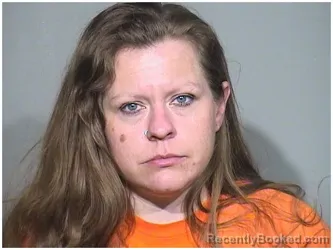 Mugshot of DANIELLE M RAKSTAD booked in McHenry County, Illinois on June 16, 2026