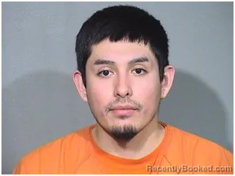 Mugshot of CESAR T RAMIREZ booked in McHenry County, Illinois on June 17, 2026