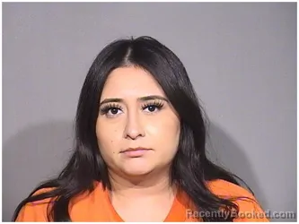 Mugshot of ZOILA DIAZ booked in McHenry County, Illinois on July 3, 2026
