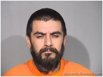 Mugshot of ERNESTO ROMAN booked in McHenry County, Illinois on July 13, 2026
