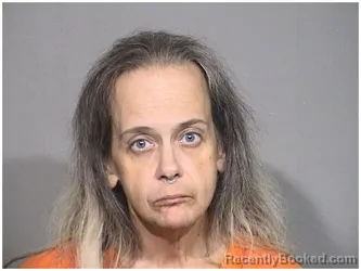 Mugshot of LORI A DONOVAN booked in McHenry County, Illinois on August 3, 2026