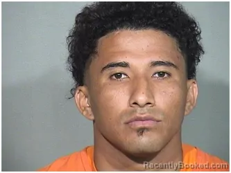 Booking photo from McHenry County, Illinois