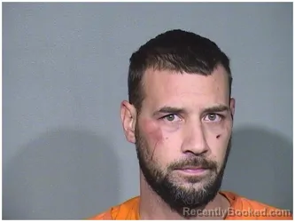 Booking photo from McHenry County, Illinois