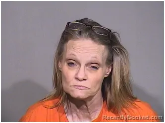 Booking photo from McHenry County, Illinois