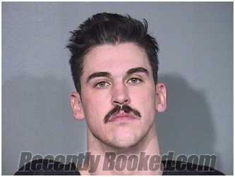 Booking photo from McHenry County, Illinois