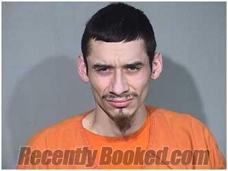 Booking photo from McHenry County, Illinois