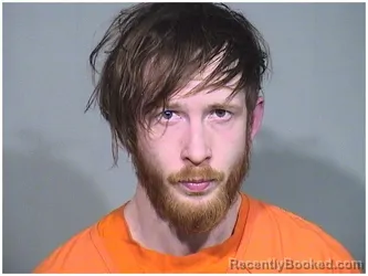 Booking photo from McHenry County, Illinois