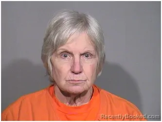 Booking photo from McHenry County, Illinois