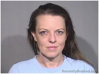 Booking photo from McHenry County, Illinois