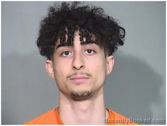 Mugshot of AMAN CERBES