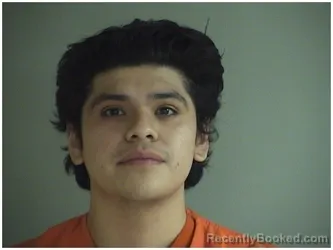 Mugshot of GONZALO COLAN