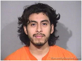 Mugshot of EDGAR HERNANDEZ