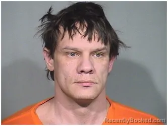 Mugshot of DAVID THOMAS