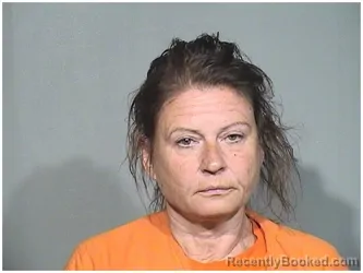 Mugshot of ANNA E FABISCH booked in McHenry County, Illinois on June 27, 2026