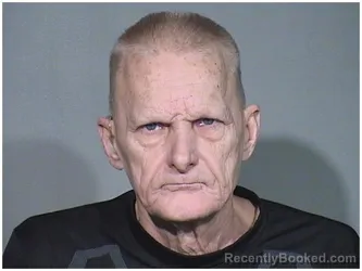 Mugshot of RANDY A LIDIK