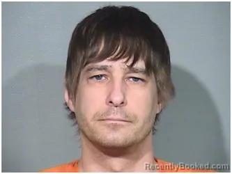 Mugshot of AARON A WAHL