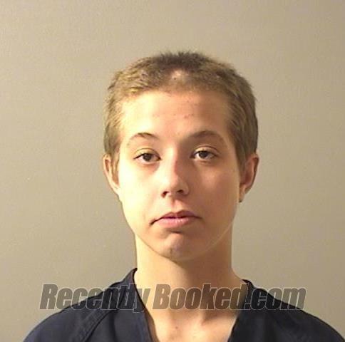 Booking photo from Macon County, Illinois