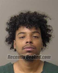 Booking photo from Macon County, Illinois