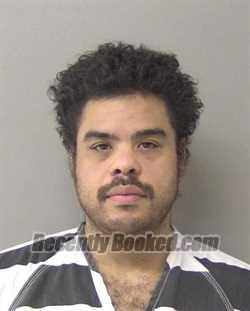 Booking photo from Macon County, Illinois