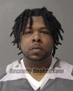 Booking photo from Macon County, Illinois