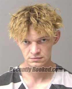 Booking photo from Macon County, Illinois