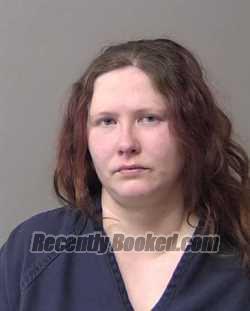 Booking photo from Macon County, Illinois