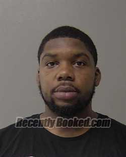 Booking photo from Macon County, Illinois