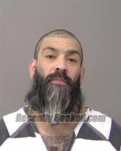 Booking photo from Macon County, Illinois