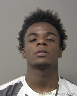 Booking photo from Macon County, Illinois