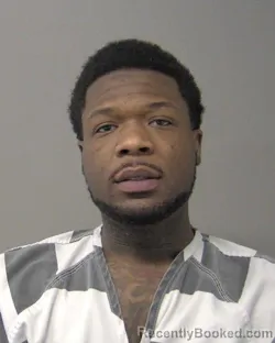 Booking photo from Macon County, Illinois