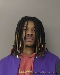 Booking photo from Macon County, Illinois