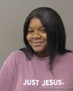 Booking photo from Macon County, Illinois