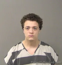 Booking photo from Macon County, Illinois