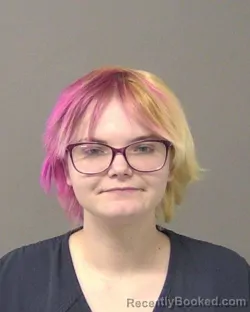 Mugshot of CEARA ROSE WEDDEL