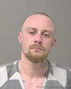 Mugshot of DILLON RAY HOWSE