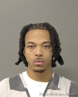 Booking photo from Macon County, Illinois