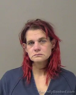 Booking photo from Macon County, Illinois