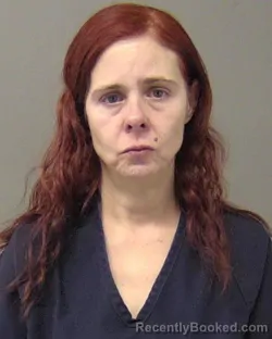 Booking photo from Macon County, Illinois
